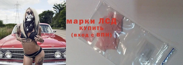 spice Вязники